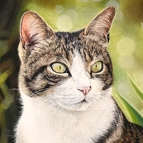 Ackou - Format 40x30 cm