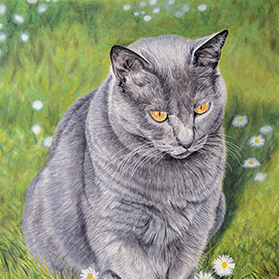 Lautrec - Format 24x30 cm