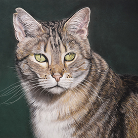 Mao - Format 40x30 cm