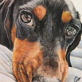 Pepsi - Format 15x15 cm