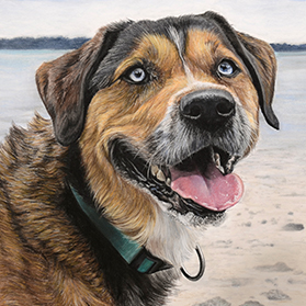 Métisse - Format 30x40 cm