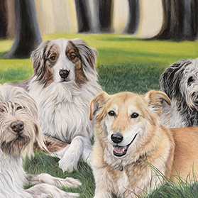 Lasco, Duc,Lovea et Mouss - Format 70x50 cm