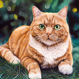 Gavroche - Format 40x30 cm
