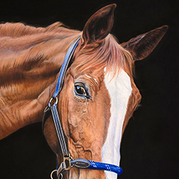Jopaline - Format 40x60 cm