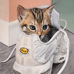 Flash - Format 24x30 cm