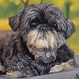 Eliott - Format 24x30 cm