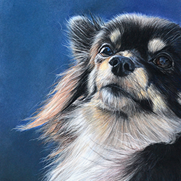 Saba - Format 24x30 cm