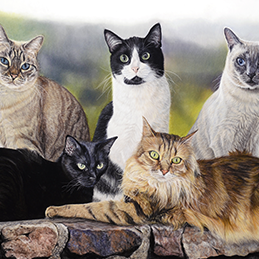 Carla, Lucie, Clarlotte, Louise & Chloé - Format 70x50 cm