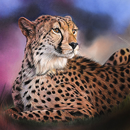Le Guépard - Format 40x30 cm