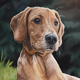 Cédille - Format 22x30 cm