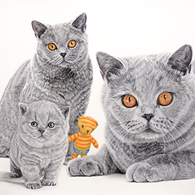 Harmony - Format 50x40 cm