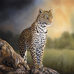 Léonard - Format 70x50 cm