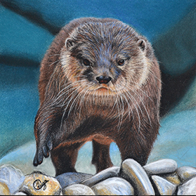 Joe - Format 14,5x14,5 cm