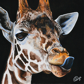 Gigi - Format 14,5x14,5 cm