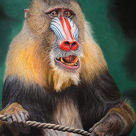 Rafiki - Format 50x70 cm