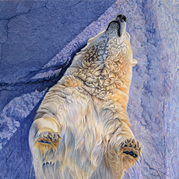Polnôr - Format 50x70 cm