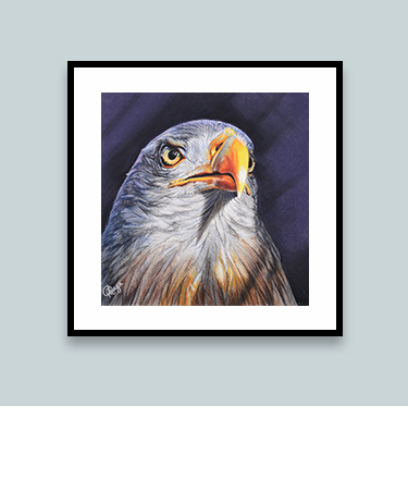 zephyr