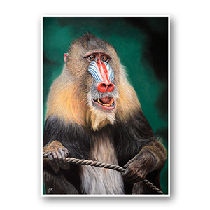 rafiki